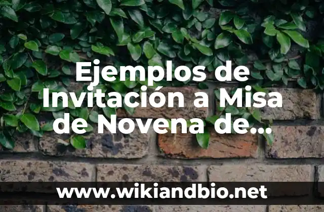 Ejemplos de Invitación a Misa de Novena de Guadalupe: Definición según