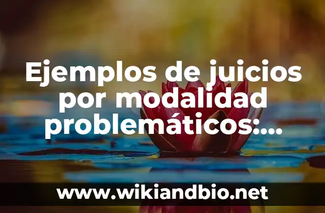 Ejemplos de juicios por modalidad problemáticos: Definición según Autor