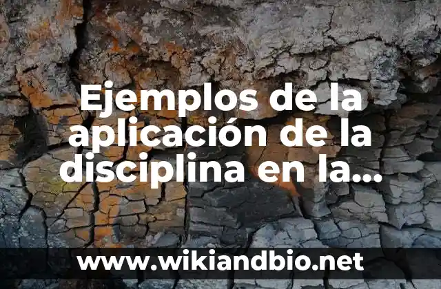 Ejemplos de la aplicación de la disciplina en la sociedad