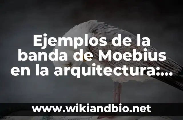 Ejemplos de la banda de Moebius en la arquitectura: Definición según Autor, qué es, Concepto y Significado