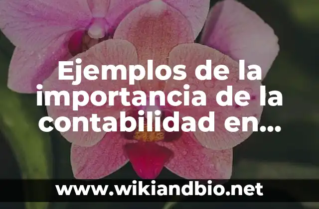 Ejemplos de la importancia de la contabilidad en una empresa
