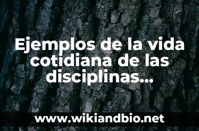 Ejemplos de la vida cotidiana de las disciplinas filosóficas: Definición según Autor, qué es, Concepto y Significado