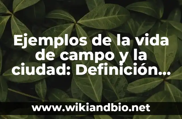 Ejemplos de la vida de campo y la ciudad: Definición según Autor, ¿qué es?