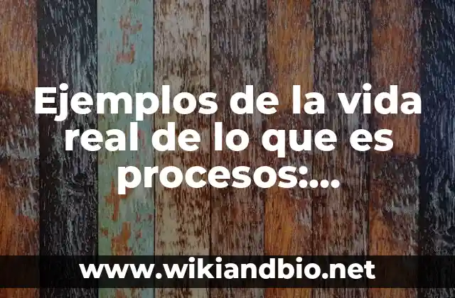 Ejemplos de la vida real de lo que es procesos: Definición según Autor, qué