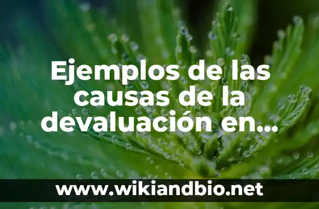 Ejemplos de las causas de la devaluación en México