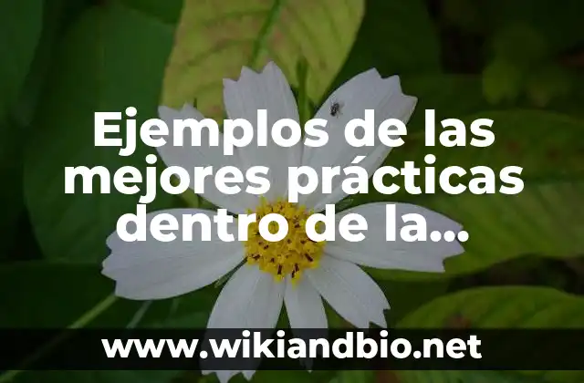 Ejemplos de las mejores prácticas dentro de la organización