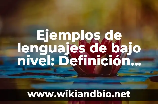 Ejemplos de lenguajes de bajo nivel: Definición según Autor, ¿qué es?