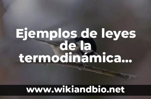 Ejemplos de leyes de la termodinámica segunda ley: Definición según Autor