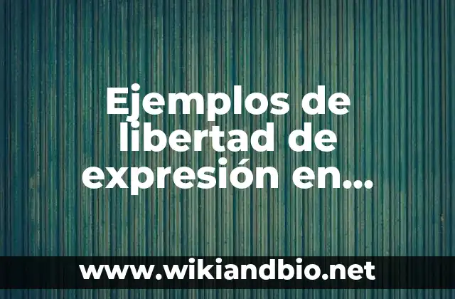 Ejemplos de libertad de expresión en México