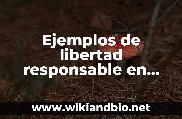 Ejemplos de libertad responsable en adolescentes: Definición según Autor