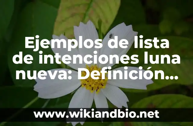 Ejemplos de lista de intenciones luna nueva: Definición según Autor, qué es, Concepto y Significado