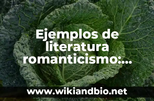 Ejemplos de literatura romanticismo: Definición según Autor, ¿qué es?