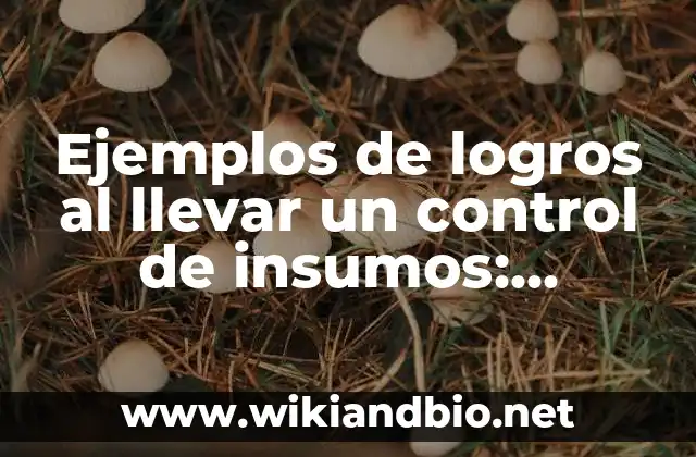 Ejemplos de logros al llevar un control de insumos: Definición según Autor