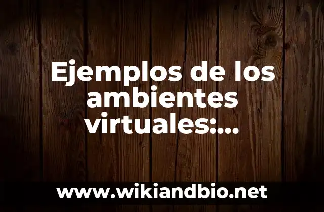Ejemplos de los ambientes virtuales: Definición según Autor, ¿qué es?