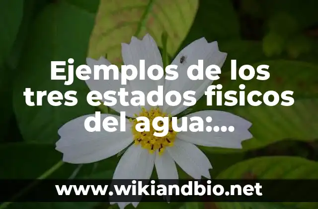 Ejemplos de los tres estados fisicos del agua: Definición según Autor, qué