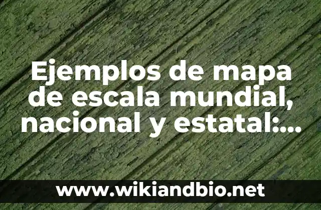 Ejemplos de mapa de escala mundial, nacional y estatal: Definición según Autor, qué es, Concepto y Significado