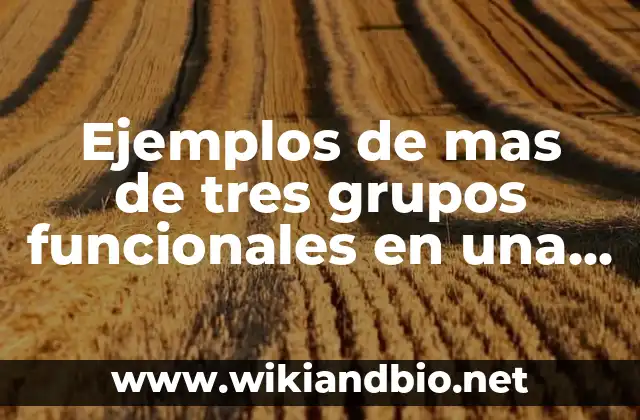 Ejemplos de mas de tres grupos funcionales en una molécula: Definición según Autor, qué es, Concepto y Significado