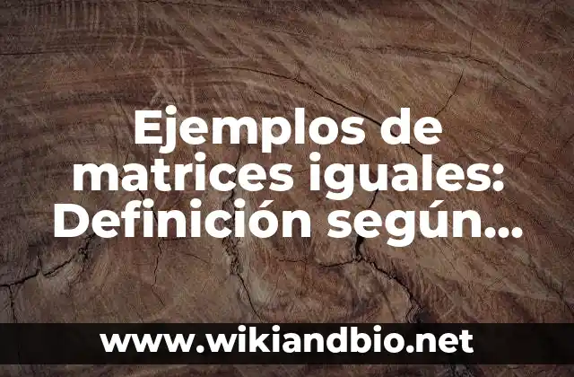 Ejemplos de matrices iguales: Definición según Autor, qué es, Concepto