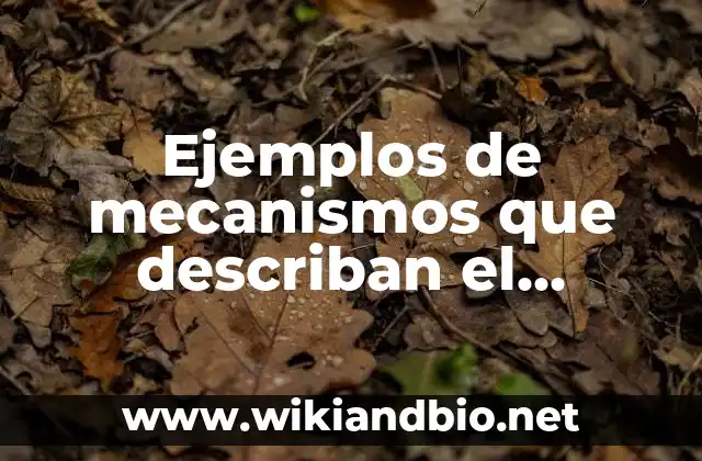Ejemplos de mecanismos que describen el movimiento de traslación
