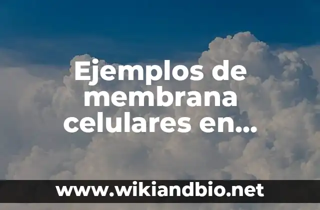Ejemplos de membrana celulares en animales y plantas: Definición según
