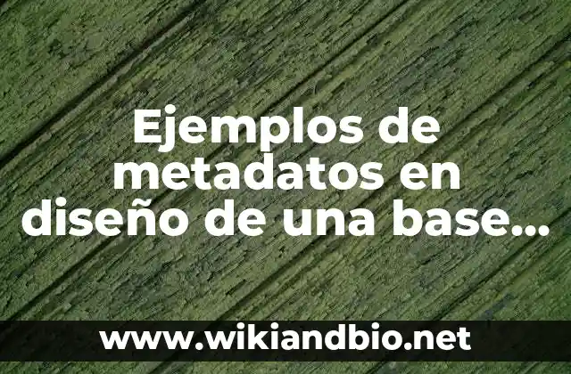 Ejemplos de metadatos en diseño de una base de datos: Definición según