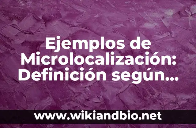 Ejemplos de Microlocalización: Definición según Autor, qué es, Concepto