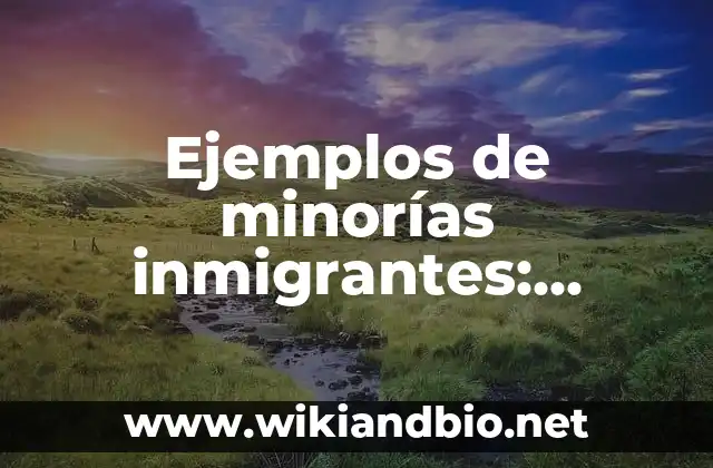 Ejemplos de minorías inmigrantes: Definición según Autor, qué es, Concepto y Significado