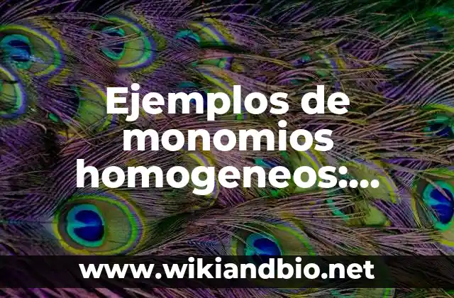 Ejemplos de monomios homogeneos: Definición según Autor, qué es, Concepto