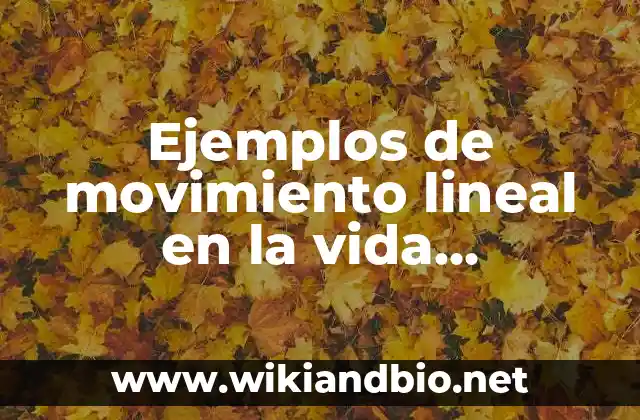 Ejemplos de movimiento lineal