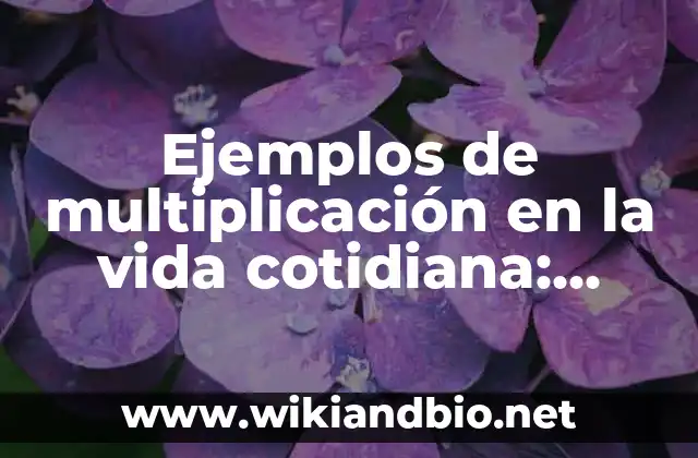 Ejemplos de multiplicación en la vida cotidiana