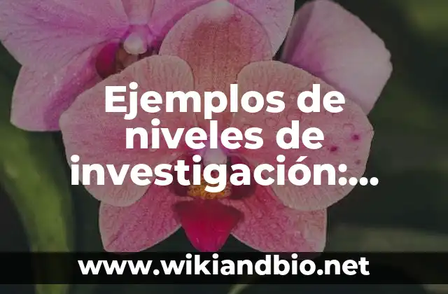 Ejemplos de niveles de investigación: Definición según Autor, ¿qué es?