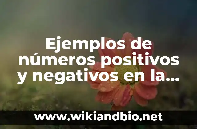 Ejemplos de números positivos y negativos en la vida cotidiana: Definición