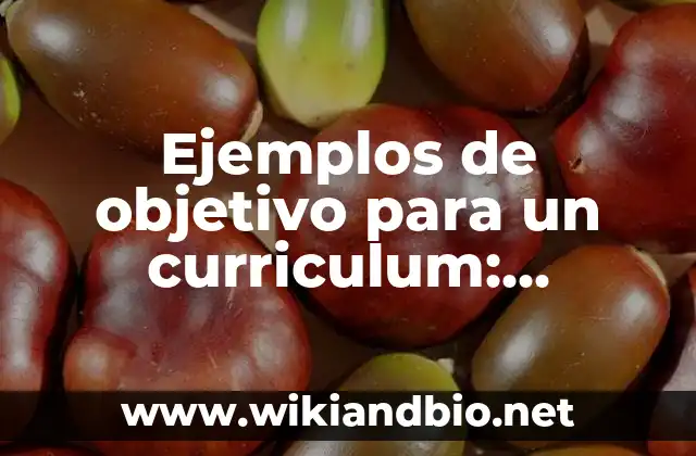 Ejemplos de objetivo para un curriculum: Definición según Autor, ¿qué es?