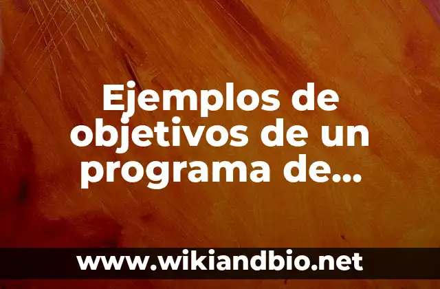 Ejemplos de objetivos de un programa de auditoría