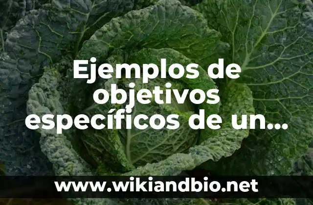 Ejemplos de objetivos específicos de un proyecto ambiental: Definición