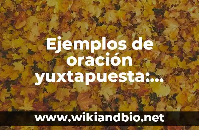 Ejemplos de oración yuxtapuesta: Definición según Autor, qué es, Concepto y Significado