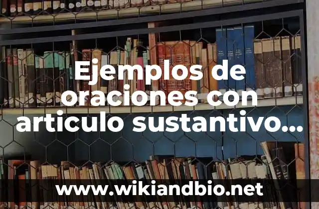 Ejemplos de oraciones con articulo sustantivo adjetivo verbo y pronombre