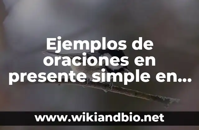Ejemplos de oraciones en presente simple en español