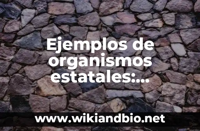 Ejemplos de organismos estatales: Definición según Autor, qué es, Concepto