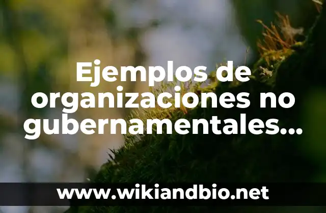 Ejemplos de organizaciones no gubernamentales internacionales