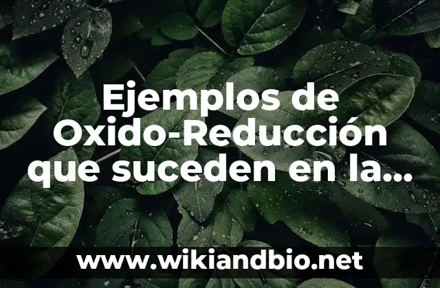 Ejemplos de Oxido-Reducción que suceden en la vida diaria: Definición según