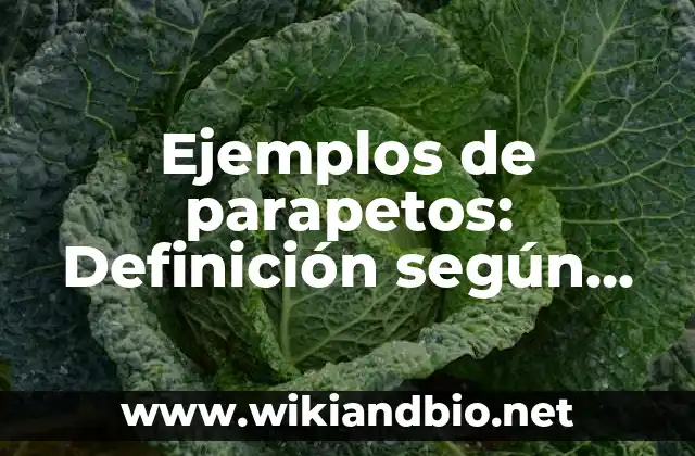 Ejemplos de parapetos: Definición según Autor, qué es, Concepto