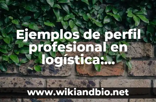 Ejemplos de perfil profesional en logística: Definición según Autor, qué