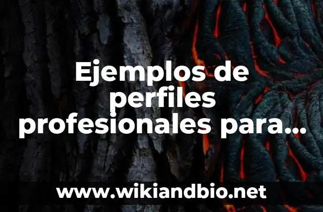Ejemplos de perfiles profesionales para CV