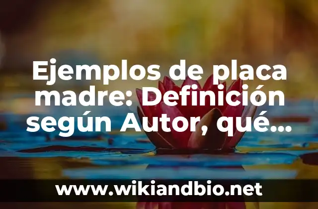 Ejemplos de placa madre