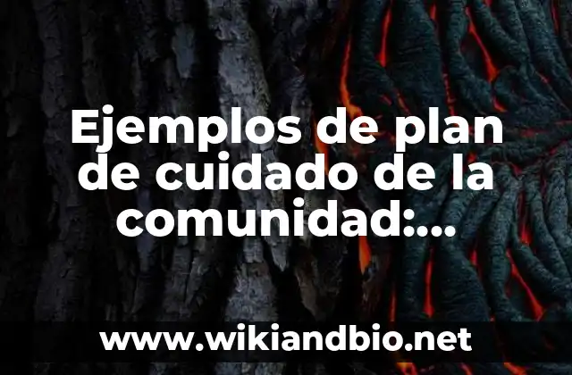 Ejemplos de plan de cuidado de la comunidad: Definición según Autor, qué