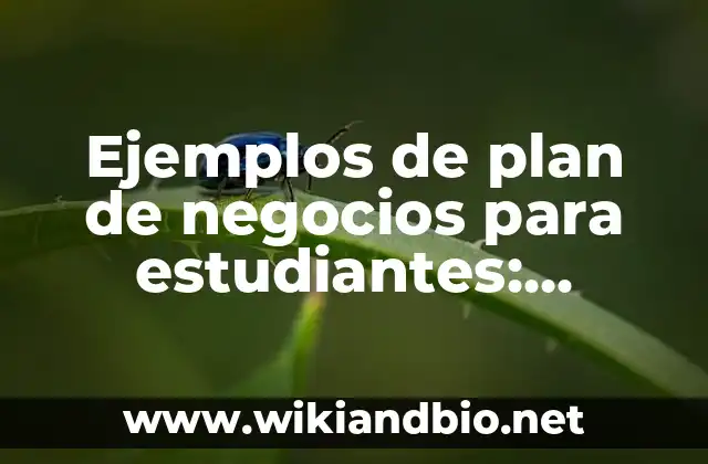 Ejemplos de plan de negocios para estudiantes: Definición según Autor, qué