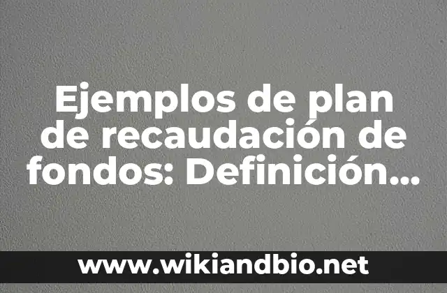 Ejemplos de plan de recaudación de fondos: Definición según Autor, qué es, Concepto y Significado
