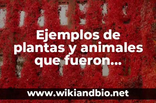 Ejemplos de plantas y animales que fueron modificadas mediante cruzas