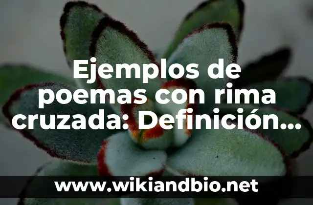 Ejemplos de poemas con rima cruzada: Definición según Autor, ¿qué es?